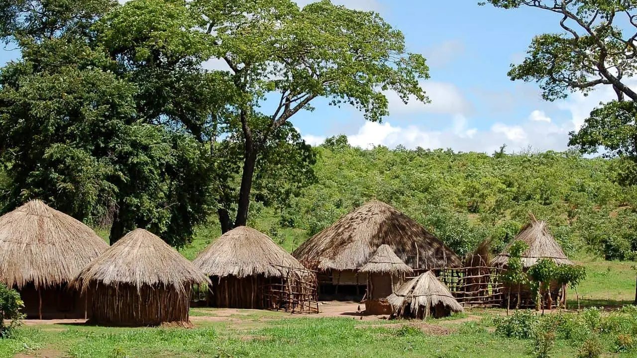 coffee plantations in zambia