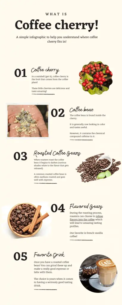 What Is Coffee Cherry? 3 Insightful Tips (2024)