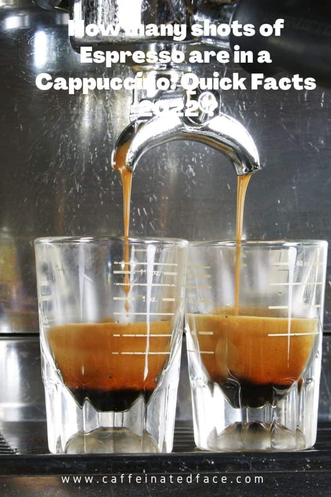 How many shots of Espresso are in a Cappuccino Quick Facts (2024)